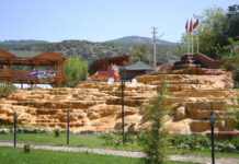 Karahayıt Kırmızı Su Hangi Hastalıklara İyi Gelir?